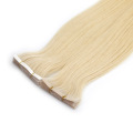 Hot Sell 20PCS Brazilian Virgin Remy Skin Weft Tape in Adhesive Hair Extensions Products #613 Blond 100g